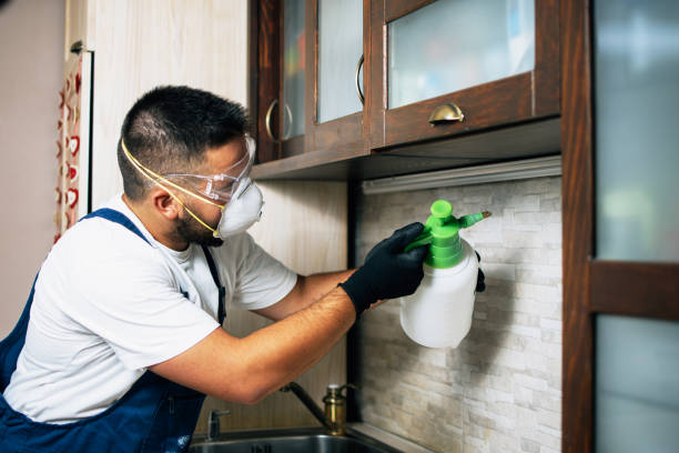 Best Affordable Pest Control Services  in Williamston, MI