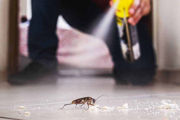 Best Flea Control Services  in Williamston, MI