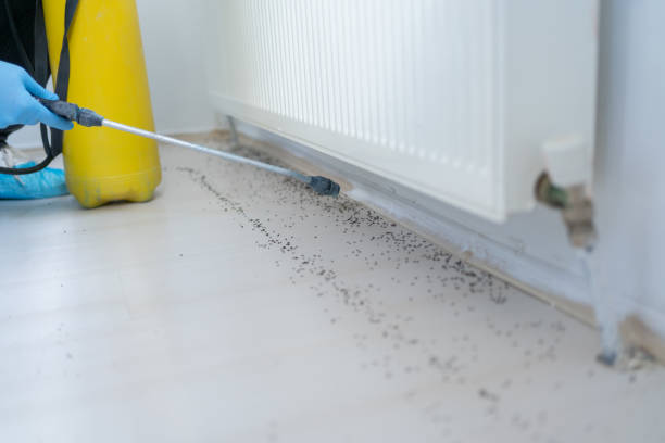 Best Pest Inspection Near Me  in Williamston, MI