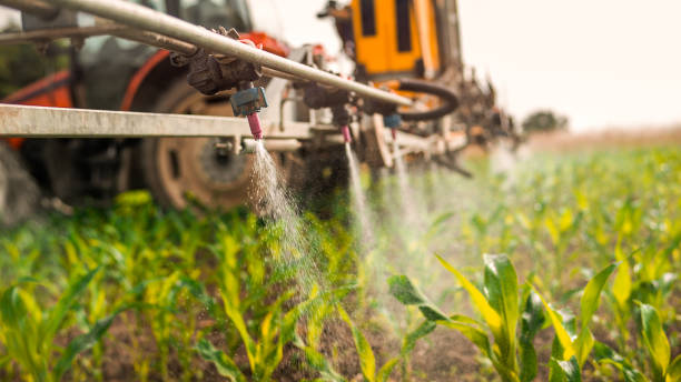 Best Mosquito Control Services  in Williamston, MI